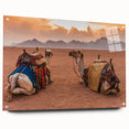 Acrylic print of a Tunisian landscape in muted earth tones, ideal for dining room decor.
