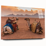 Large abstract wall art depicting a Tunisian landscape in muted earth tones, printed on acrylic glass.