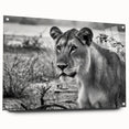 Acrylic print of a vibrant African landscape in orange and red tones, ideal for dining room decor.