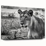Acrylic print of a vibrant African landscape in orange and red tones, ideal for dining room decor.