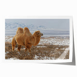 Extra large rolled print of a Mongolian landscape with vibrant green and blue tones, ideal for art wall dining room.