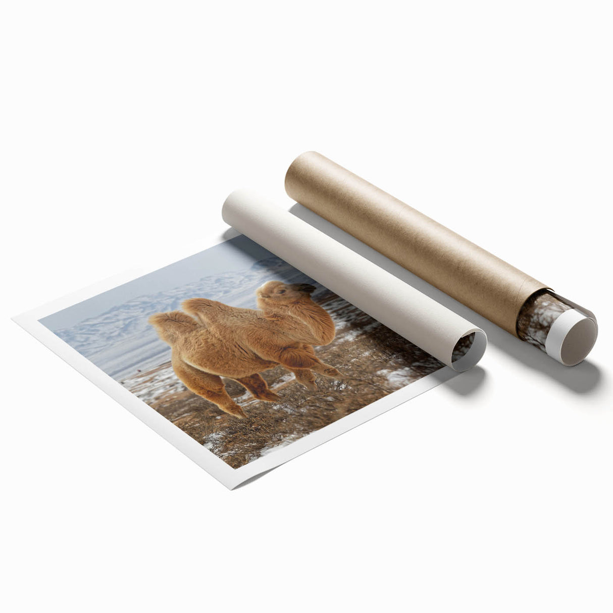 Extra large rolled print featuring a serene Mongolian landscape with soft floral elements.