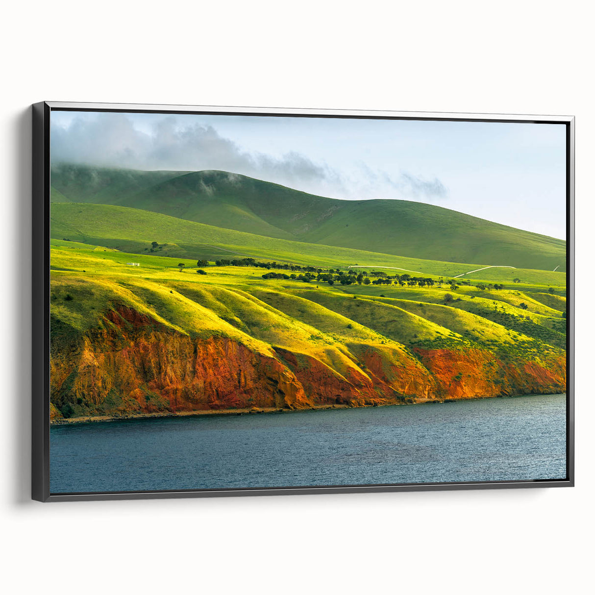 Black and white framed canvas of Adelaide landscape in vintage poster style, suitable for bedroom decor.