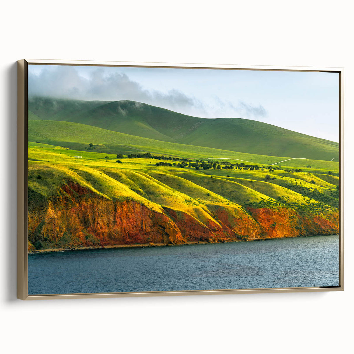 Framed canvas of Adelaide landscape in vintage poster style, featuring black and colorful elements, ideal for office decor.