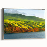 Vintage poster art of Adelaide scenery on a framed canvas, featuring vibrant colors, ideal for living room decor.