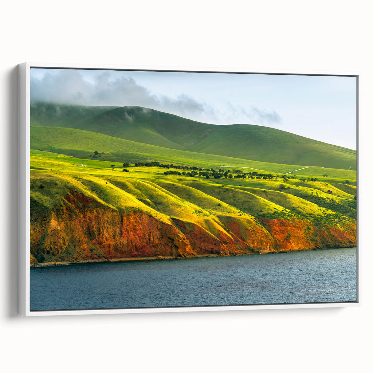 Framed canvas of Adelaide landscape in black and white tones, suitable for bedroom wall art.