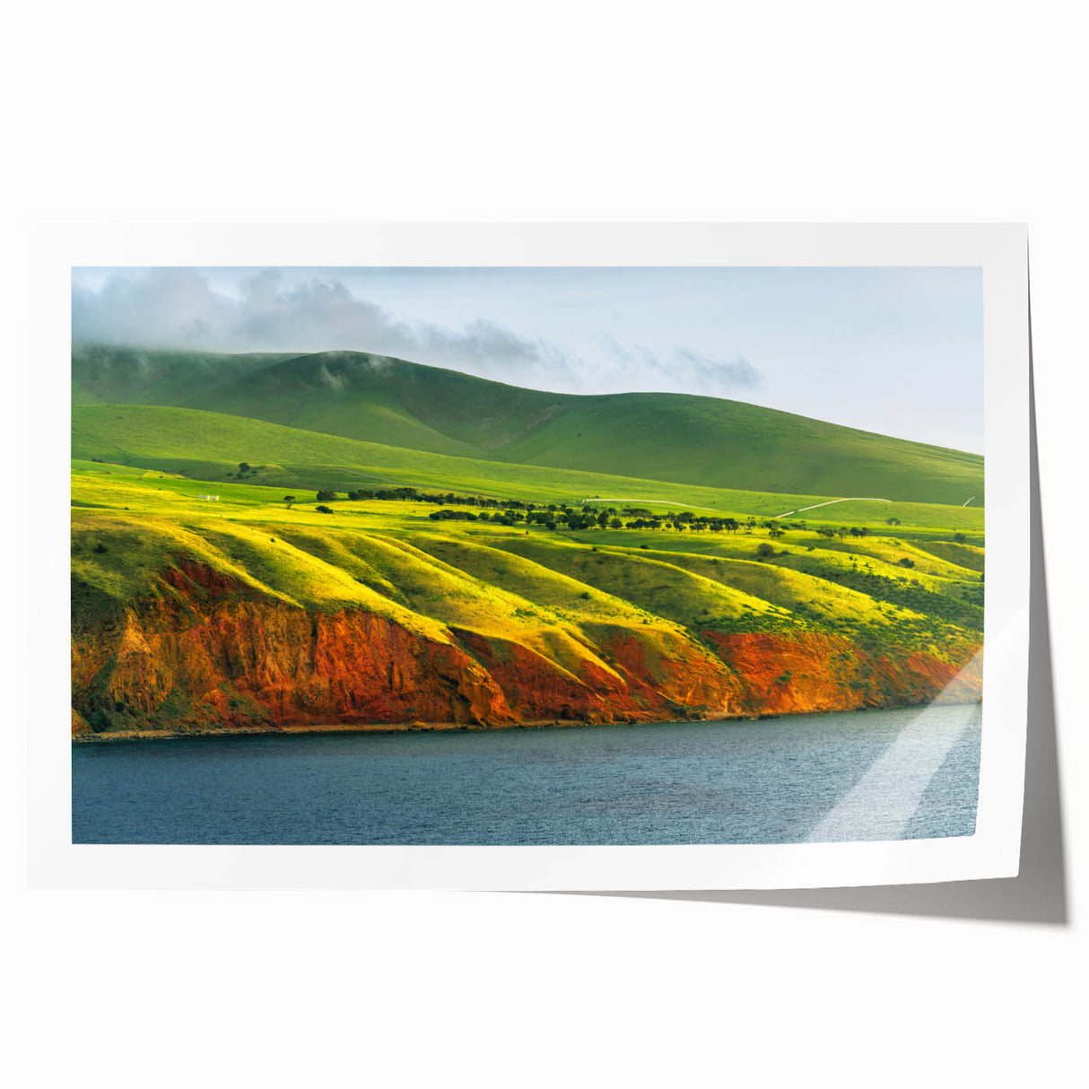 Extra large rolled print of Adelaide scenery with vibrant floral elements, ideal for art wall dining room.