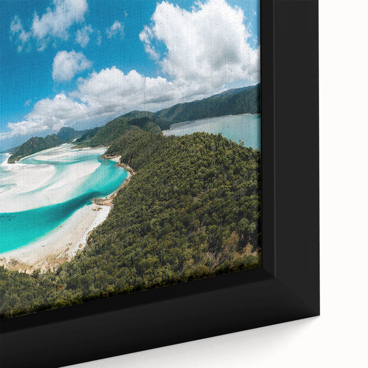 Extra large framed canvas of the Great Barrier Reef with textured, colorful coral details on a black background.