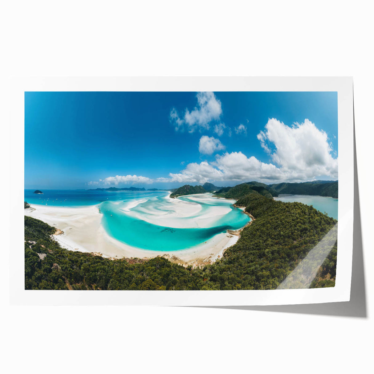 Underwater scene of the Great Barrier Reef on a rolled print, featuring vibrant marine colors.