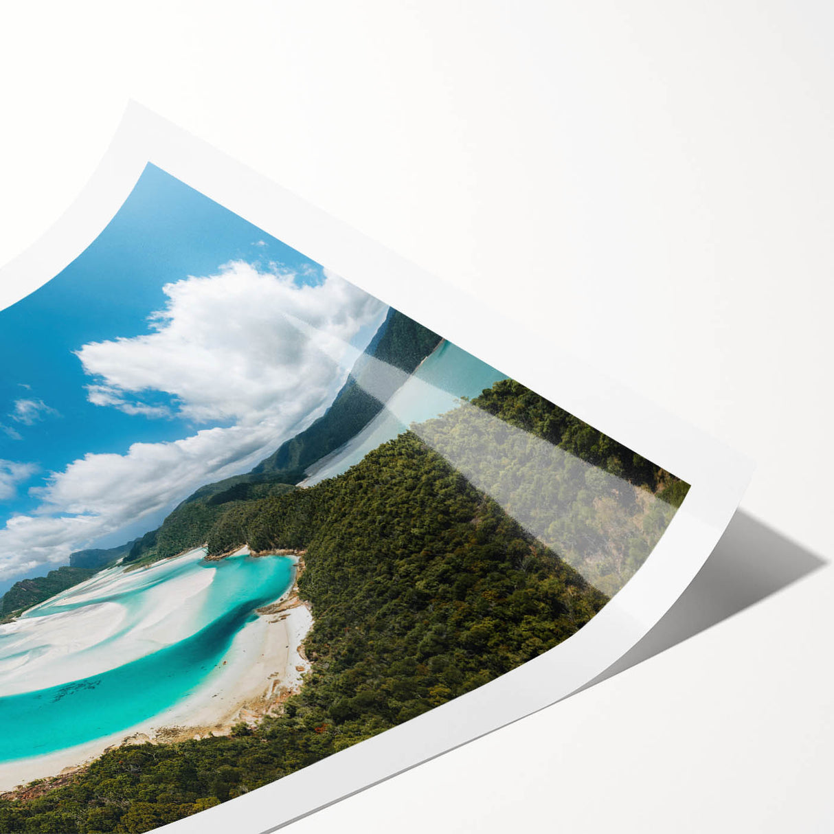 Extra large rolled print featuring a stylized Great Barrier Reef scene in vibrant blue and green tones.