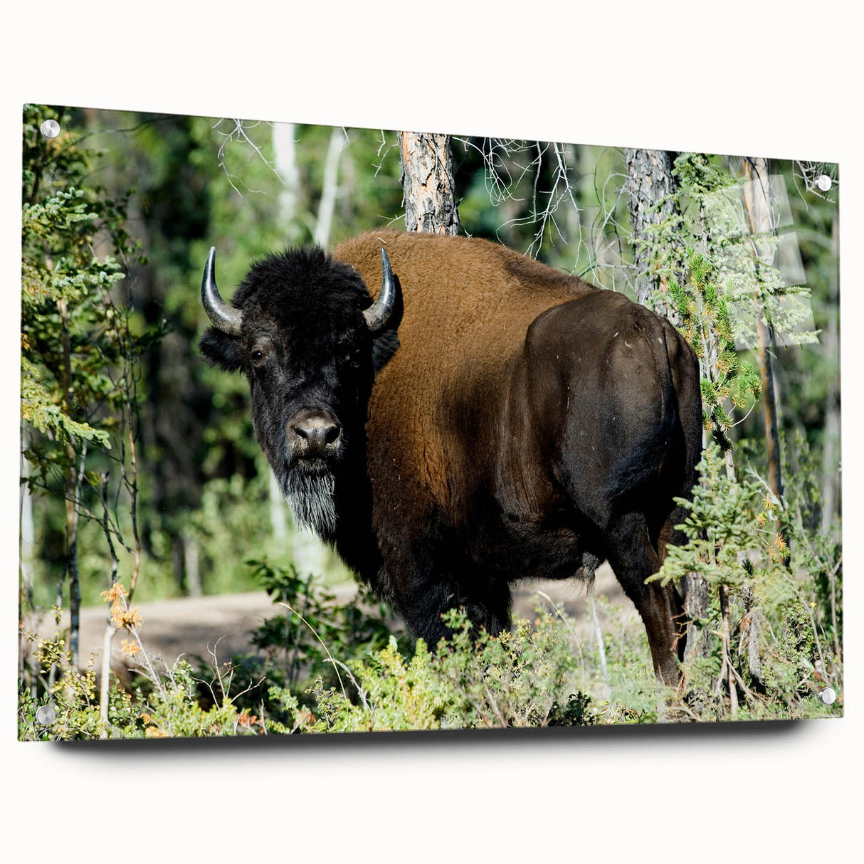 Acrylic print of the Northwest Territories landscape with muted earth tones, ideal for dining room decor.