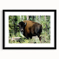 Colorful abstract art print of the Northwest Territories scenery on a textured, extra large canvas.