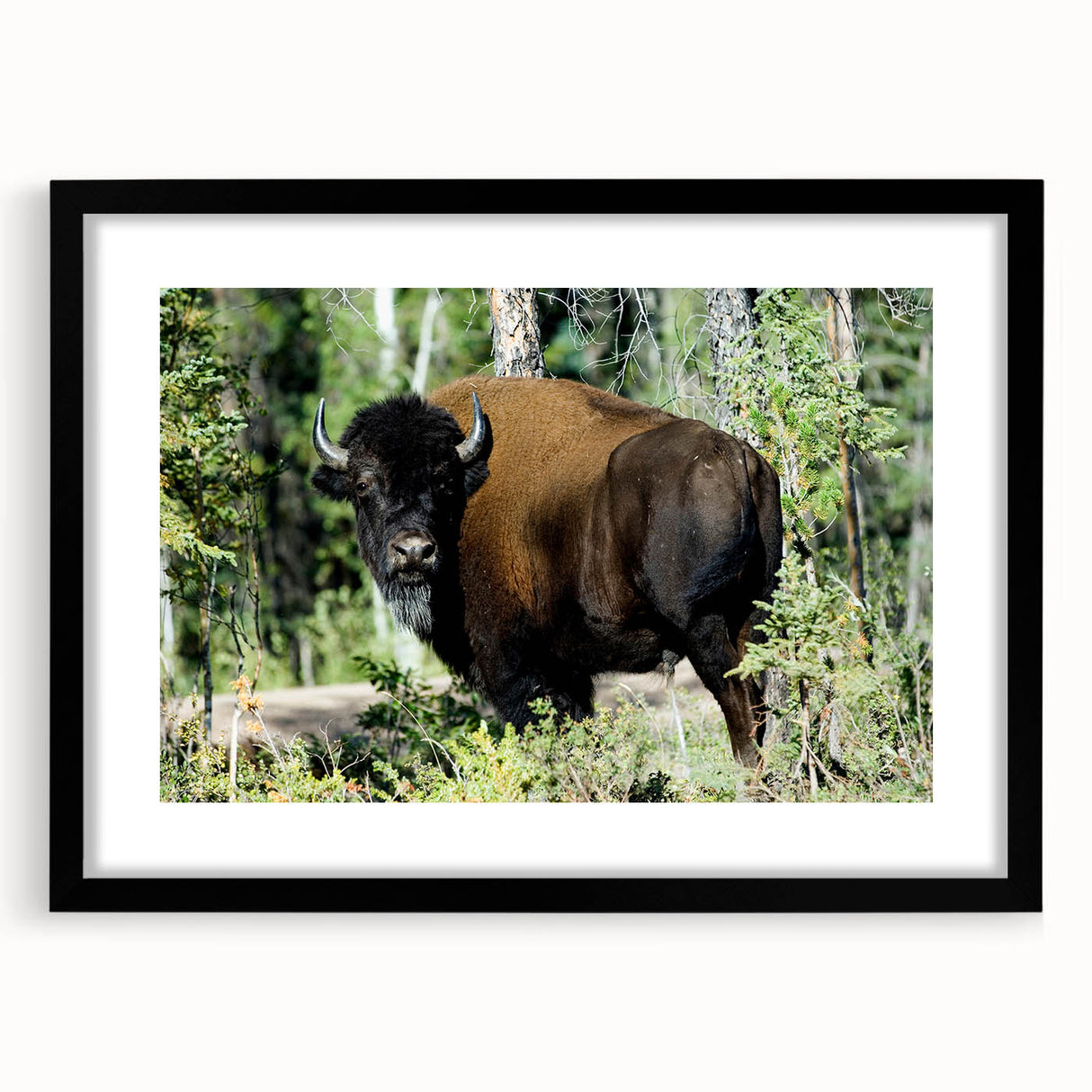 Colorful abstract art print of the Northwest Territories scenery on a textured, extra large canvas.