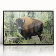 Large abstract wall art depicting the Northwest Territories in muted earth tones on a framed acrylic.
