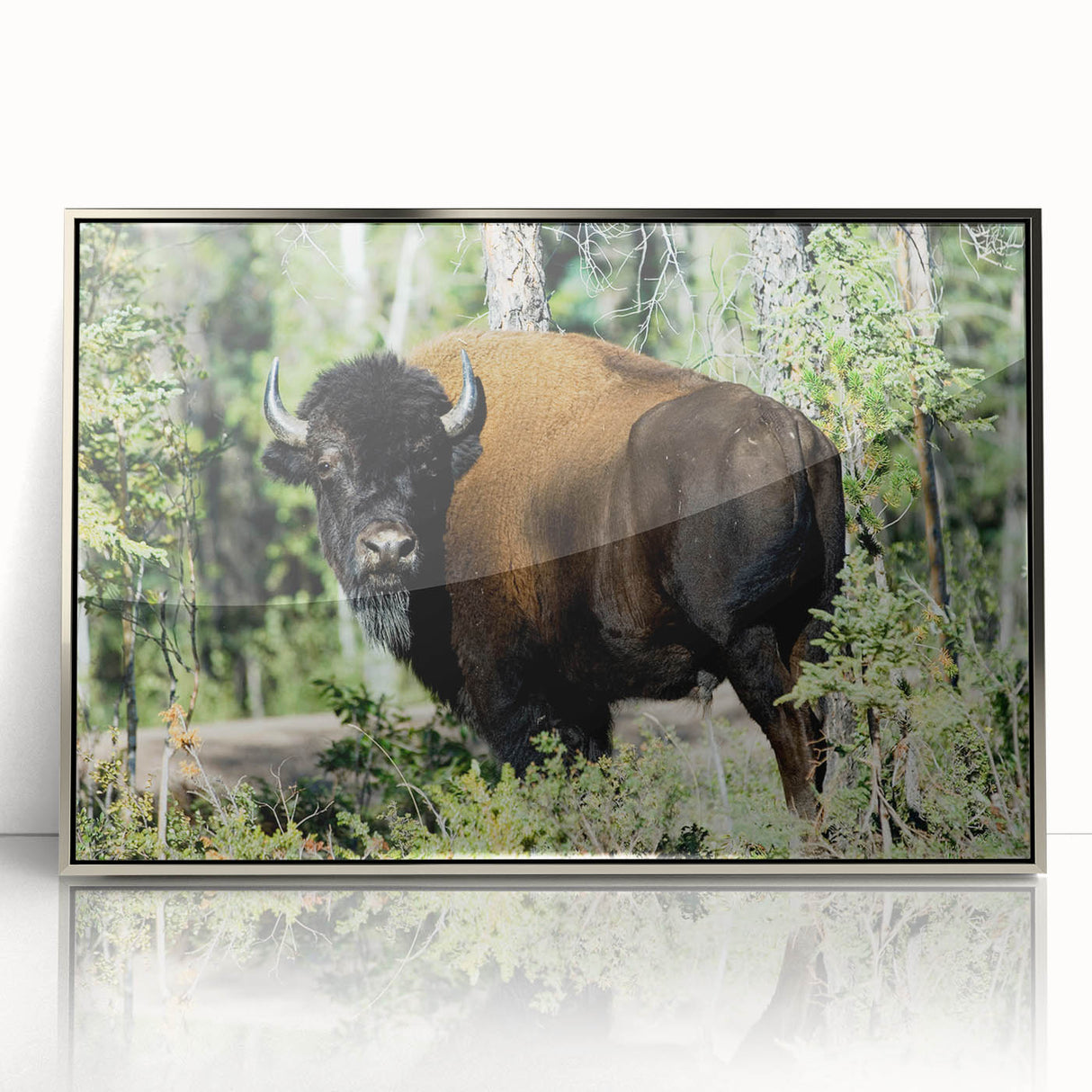 Mid-century modernist art depicting the Northwest Territories landscape on a silver-framed acrylic print.