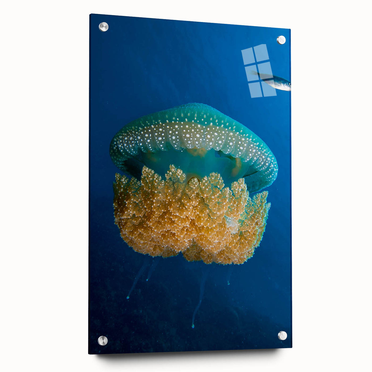 Large abstract wall art on acrylic glass depicting vibrant Caribbean scenery, ideal for bedroom or dining room decor.