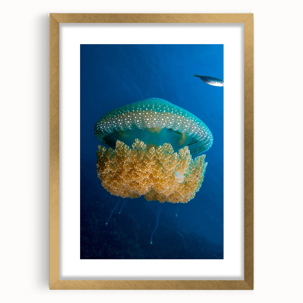Abstract art print depicting a Caribbean Haiti scenery in vibrant blues and greens, framed in gold.