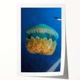 Extra large rolled print of Caribbean scenery with vibrant floral elements, ideal for art wall dining room or bathroom.