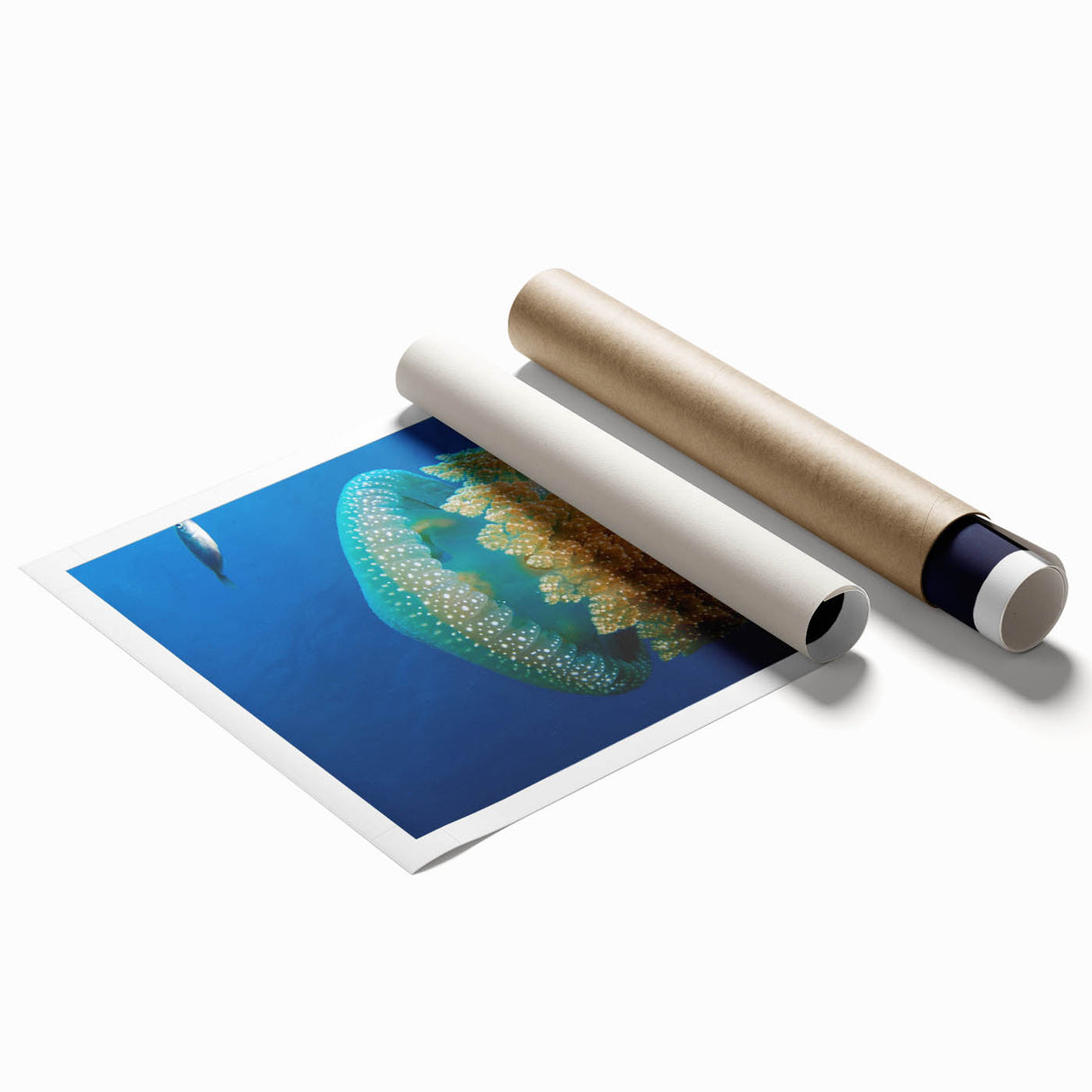 Extra large rolled print featuring a serene Caribbean scenery with vibrant floral elements.