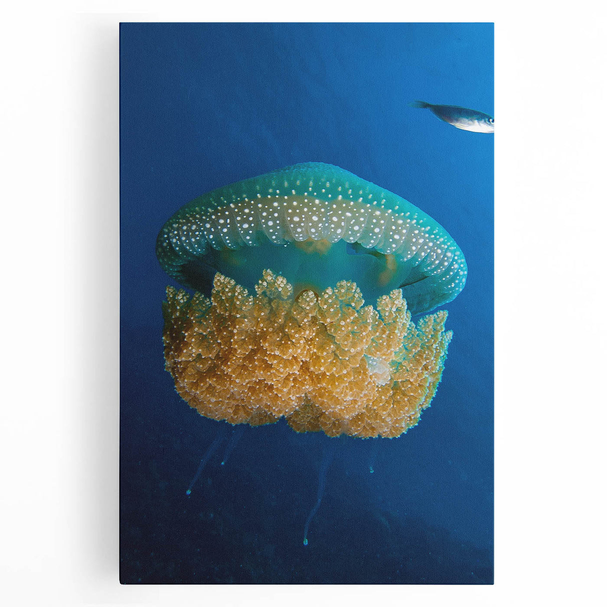 Large black and white stretched canvas featuring a scenic Caribbean landscape, ideal for kitchen wall art.