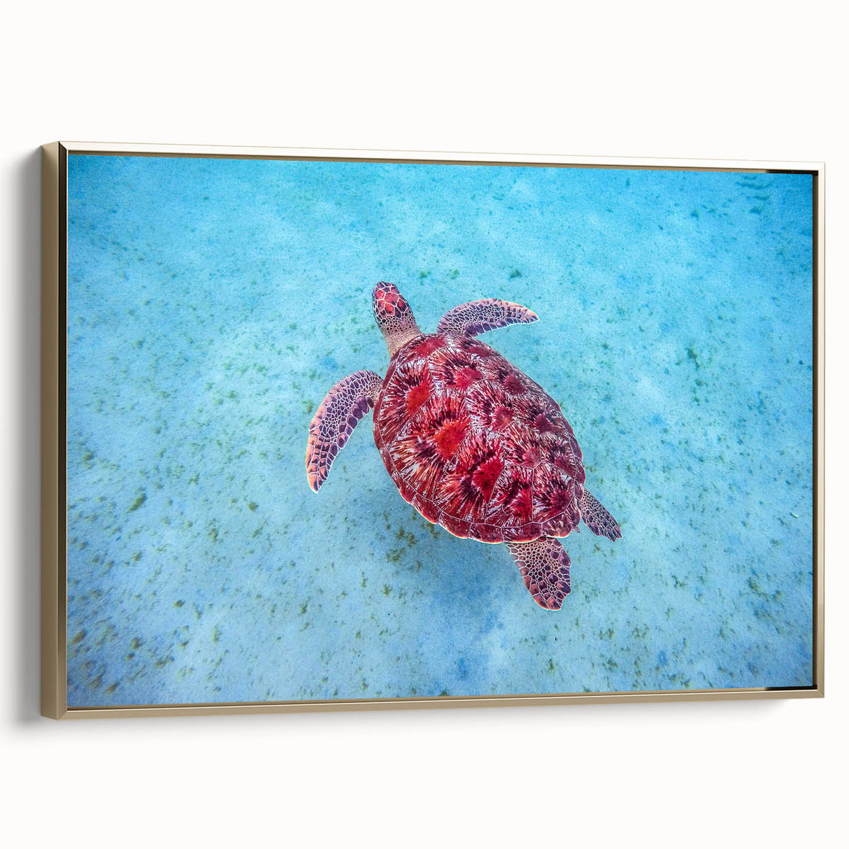 Framed canvas vintage poster art of a Caribbean scenery in vibrant, colorful hues.