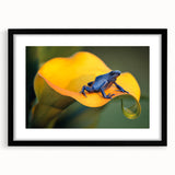 Abstract art print featuring vibrant, colorful textures of a Costa Rican landscape on a large framed canvas.