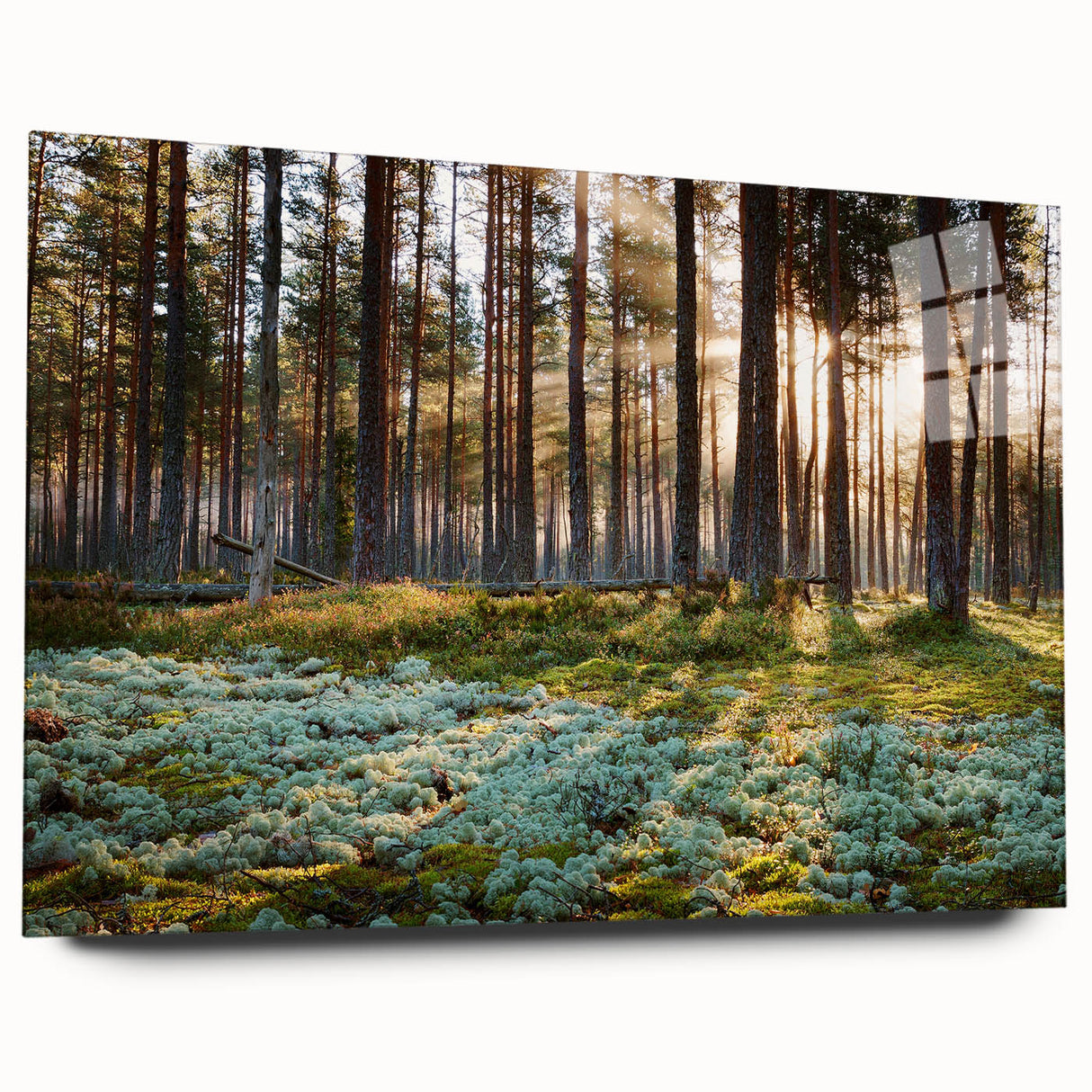 Large abstract wall art of a European scenery in muted earth tones on acrylic glass, ideal for bedroom or dining room decor.