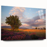 Large abstract wall art of a serene French landscape in muted earth tones on acrylic glass.