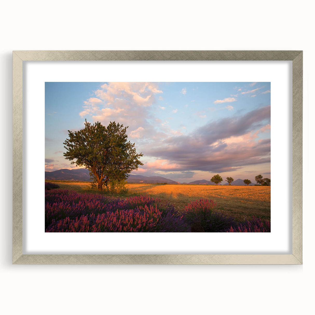 Extra large abstract art print of a textured French landscape in muted earth tones, framed in silver.
