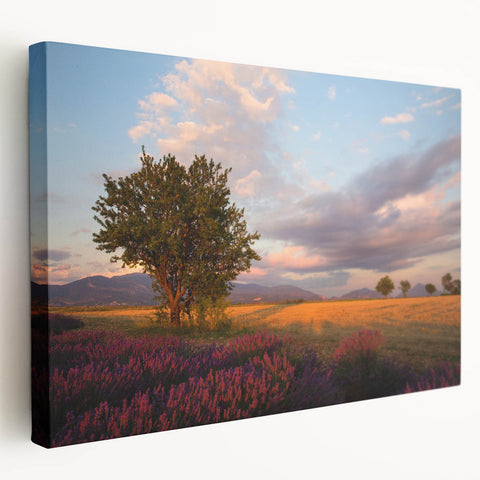 Large art print of a scenic French village on stretched canvas, featuring muted earth tones, ideal for kitchen wall art.