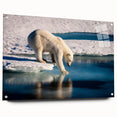 Large abstract wall art depicting a Greenland scenery in muted green tones on acrylic glass.