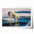 Rolled print of a Greenland landscape featuring muted green and blue tones, ideal for dining room wall art.