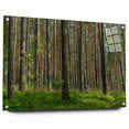 Acrylic glass print of a Lithuanian landscape, featuring soft green and blue tones, ideal for bedroom or dining room decor.