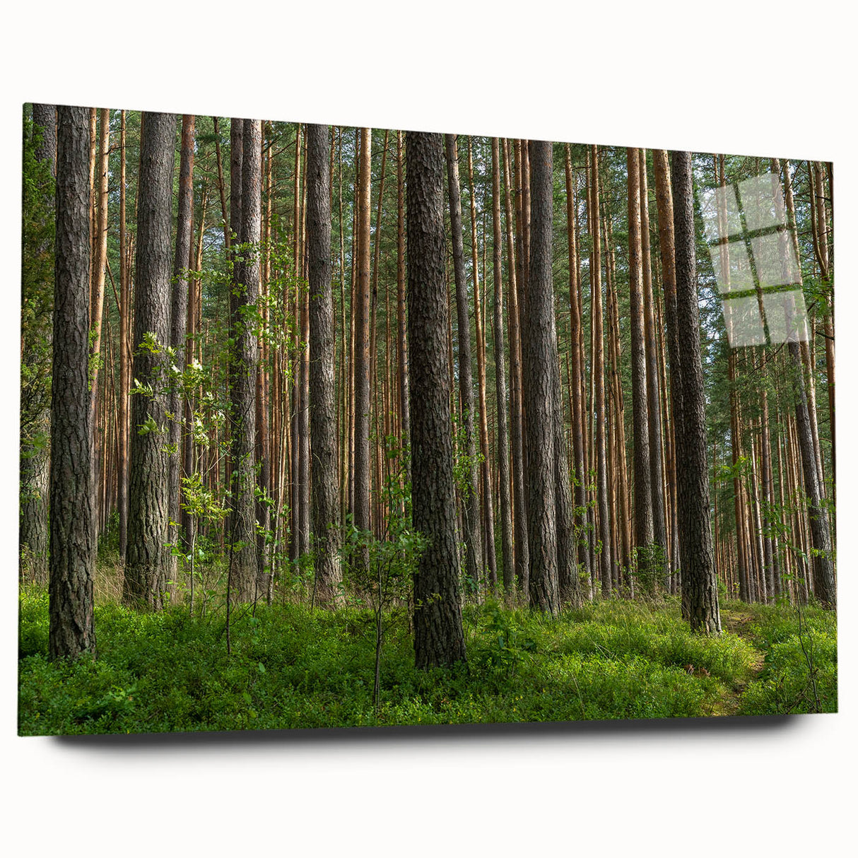 Large abstract wall art of a European Lithuania scenery in muted earth tones on acrylic glass.