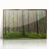 Art deco poster of a European Lithuania landscape in pastel shades, acrylic framed, suitable for modern nursery decor.