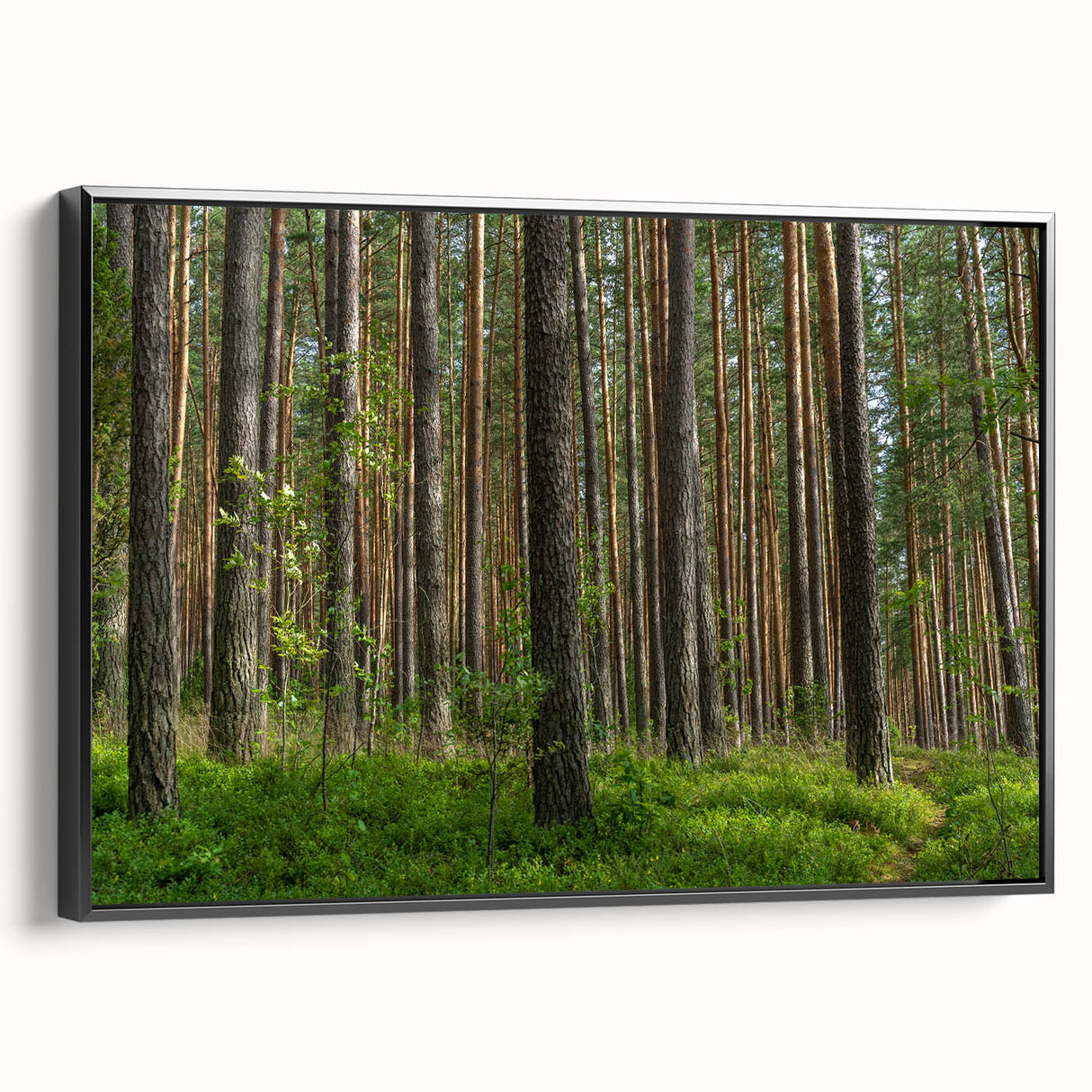 Black and white framed canvas depicting a vintage European landscape, ideal for bedroom wall art.