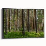 Black and white framed canvas depicting a vintage European landscape, ideal for bedroom wall art.