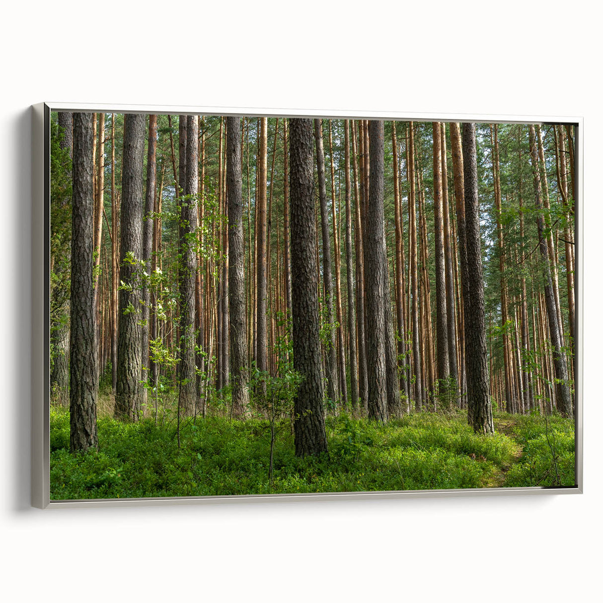 Framed canvas depicting a vintage landscape painting of a Lithuanian scenery, ideal for bedroom wall art.