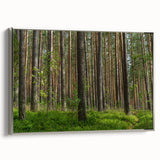 Framed canvas depicting a vintage landscape painting of a Lithuanian scenery, ideal for bedroom wall art.