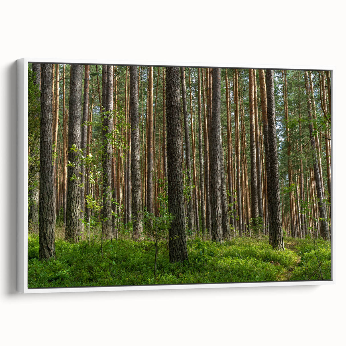 Landscape painting of a Lithuanian scenery on framed canvas, featuring vibrant colors with a vintage poster style.