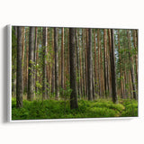 Landscape painting of a Lithuanian scenery on framed canvas, featuring vibrant colors with a vintage poster style.
