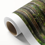 Art deco poster depicting a serene Lithuanian landscape on rolled canvas, ideal for nursery wall art.