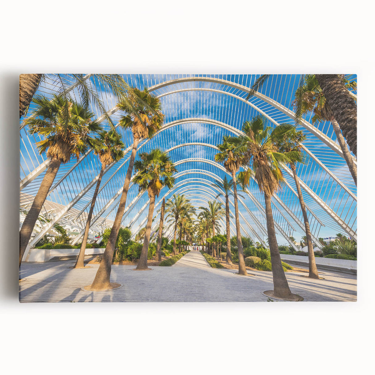 Black and white photograph of Valencia streetscape on stretched canvas, ideal for kitchen art.