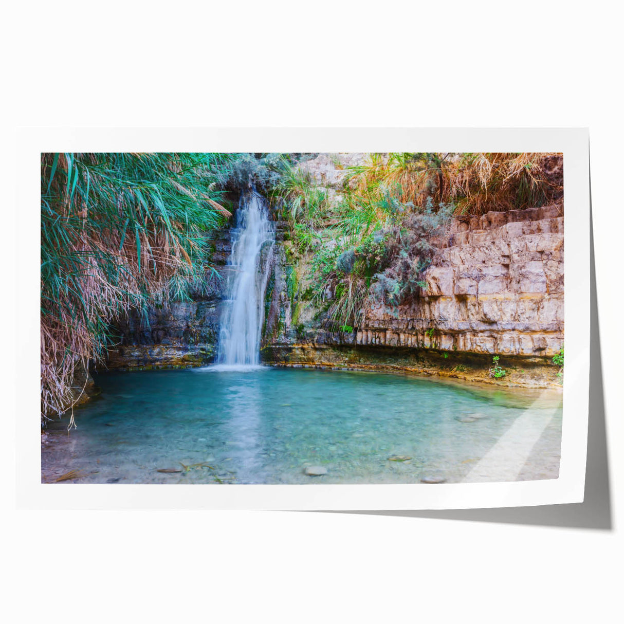 Extra large rolled canvas print depicting vibrant floral scenery in Middle East, Israel, ideal for dining room wall art.