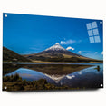 Acrylic print of a large abstract depiction of South American scenery in muted earth tones.