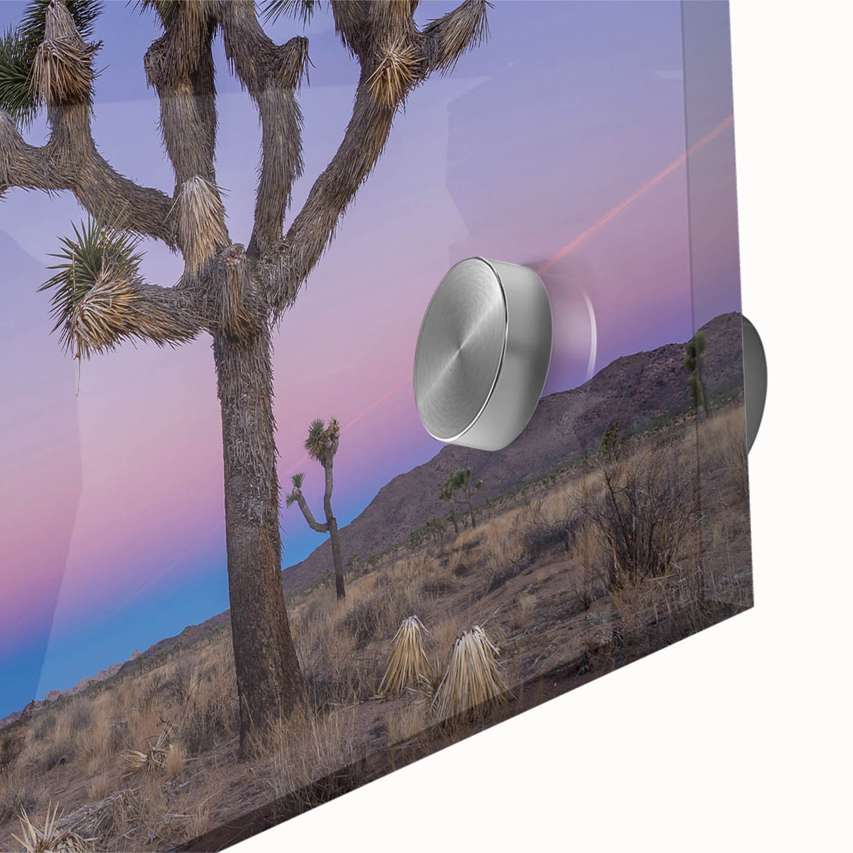 Large abstract wall art featuring a Joshua Tree in muted earth tones on acrylic glass, ideal for dining room ambiance.