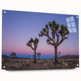 Acrylic print of a Joshua Tree in California, featuring earth tones, ideal for bedroom or dining room decor.