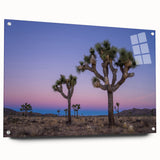 Acrylic print of a Joshua Tree in California, featuring earth tones, ideal for bedroom or dining room decor.