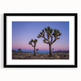 Abstract art print of Joshua Tree in vibrant colors on a textured, extra large canvas, ideal for living room decor.
