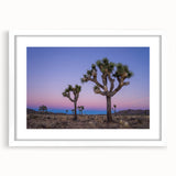 Abstract art print of Joshua Tree in muted earth tones on a white framed canvas, suitable for bedroom or dining room decor.
